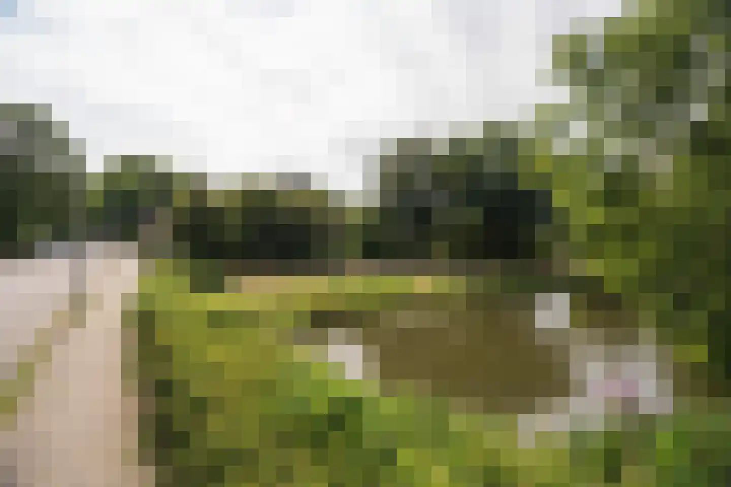 Dordrechtweg 11 Arnhem thumbnail 53