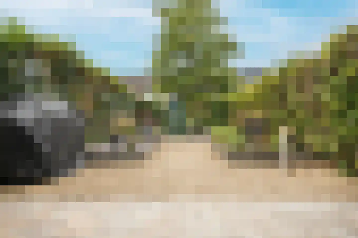 Dordrechtweg 11 Arnhem thumbnail 6
