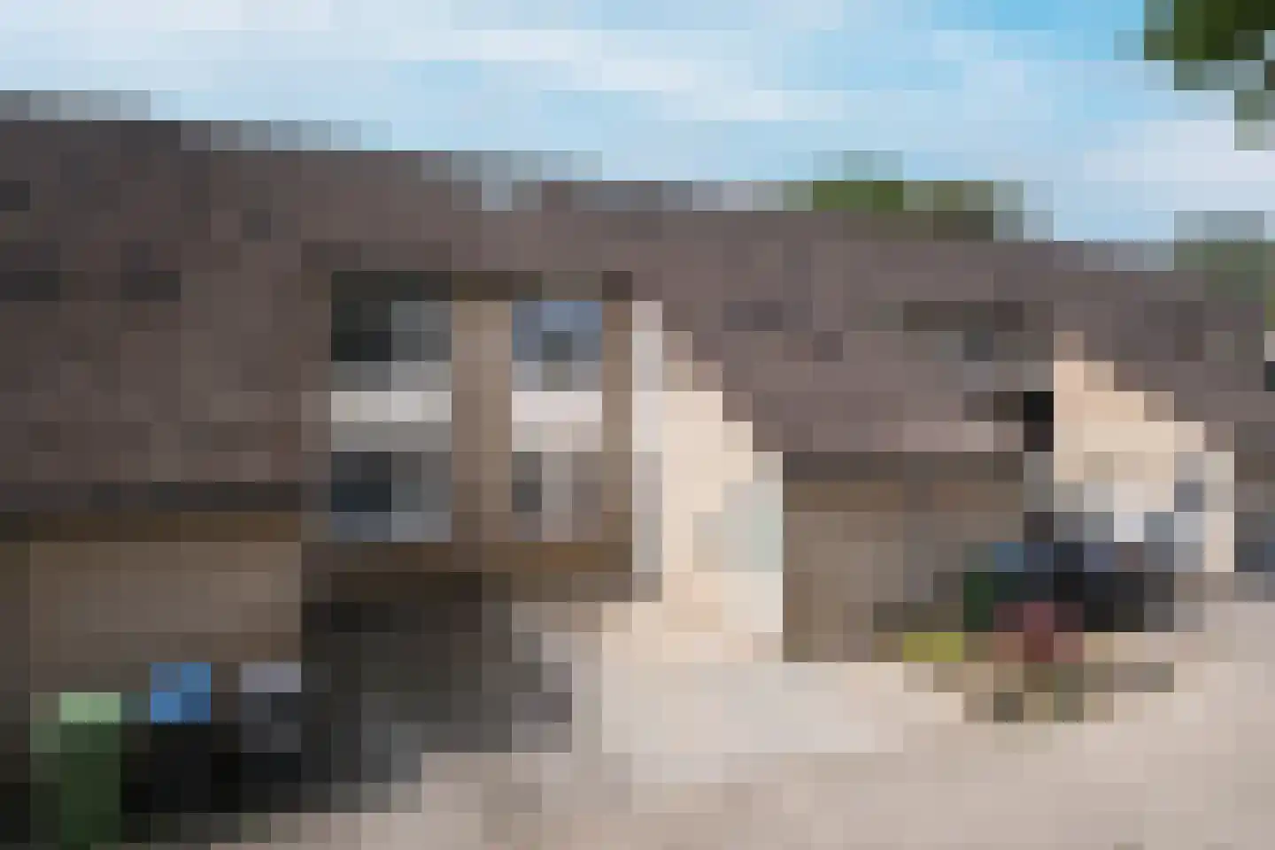 Dordrechtweg 11 Arnhem thumbnail 7