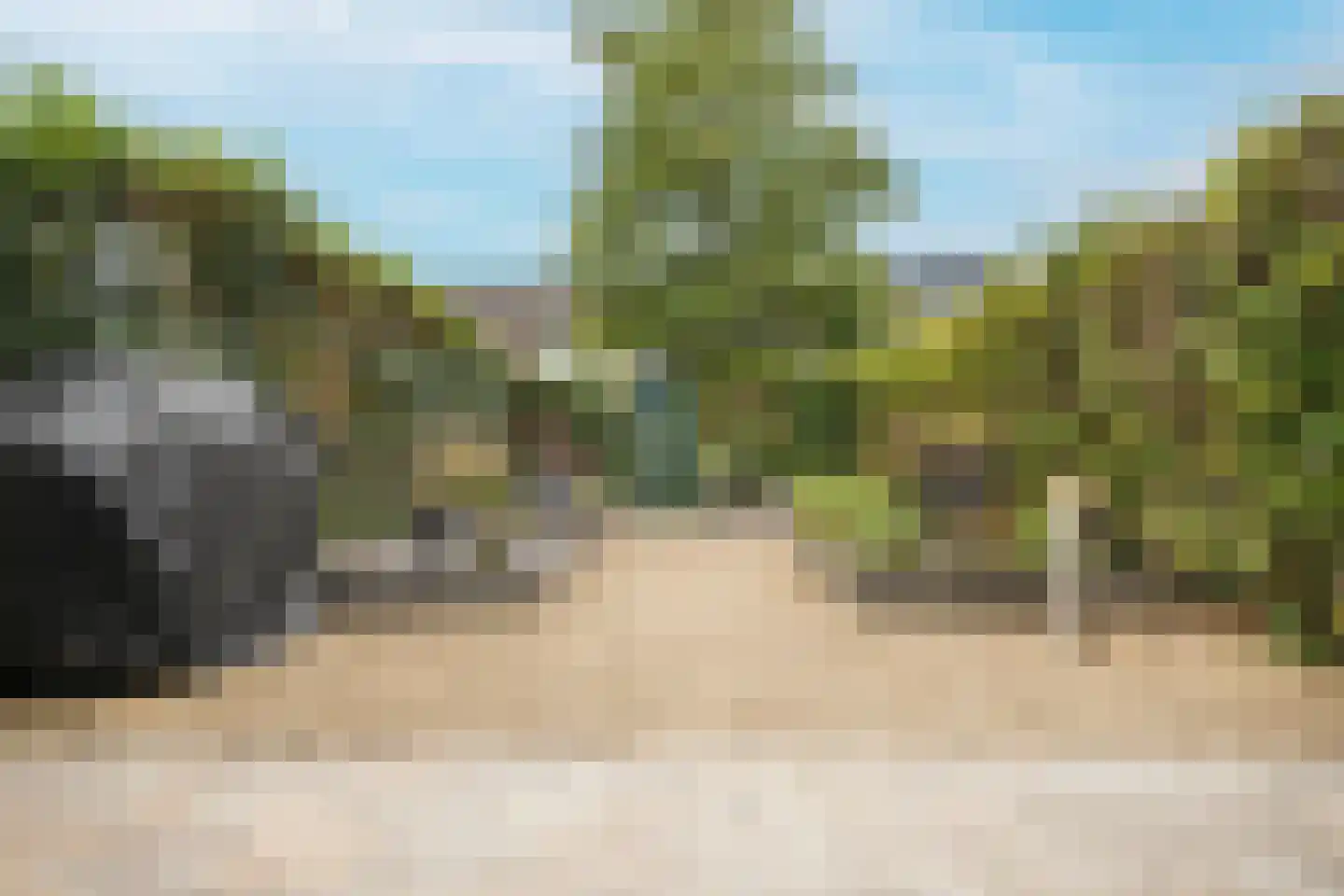 Dordrechtweg 11 Arnhem thumbnail 7