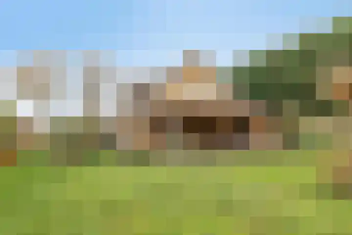 Dordsedijk 102 Klazienaveen thumbnail 24