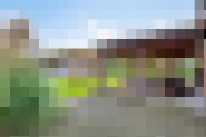 Dordsedijk 102 Klazienaveen thumbnail 26