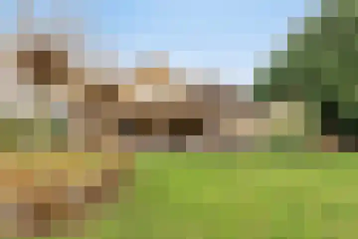 Dordsedijk 102 Klazienaveen thumbnail 27