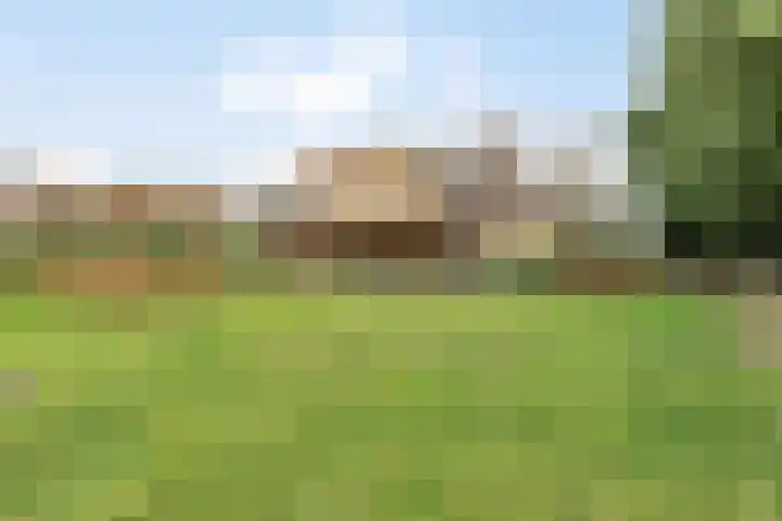 Dordsedijk 102 Klazienaveen thumbnail 28