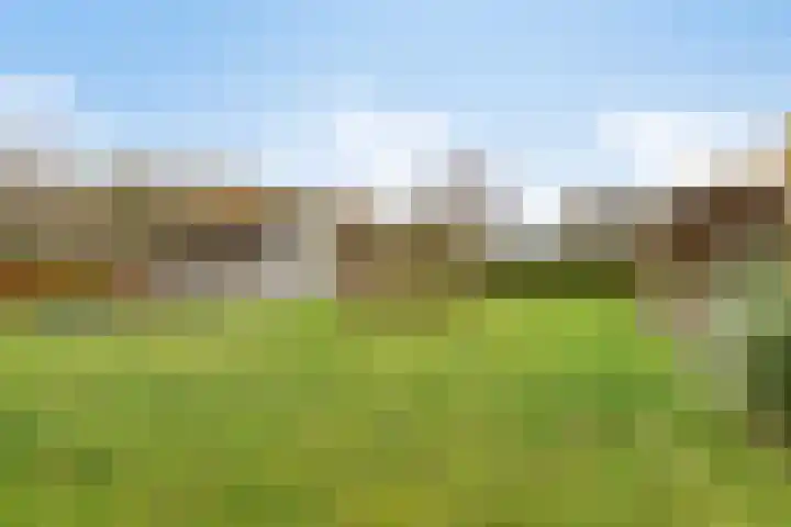 Dordsedijk 102 Klazienaveen thumbnail 29