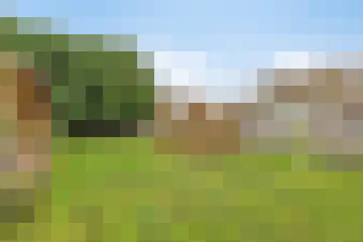 Dordsedijk 102 Klazienaveen thumbnail 31