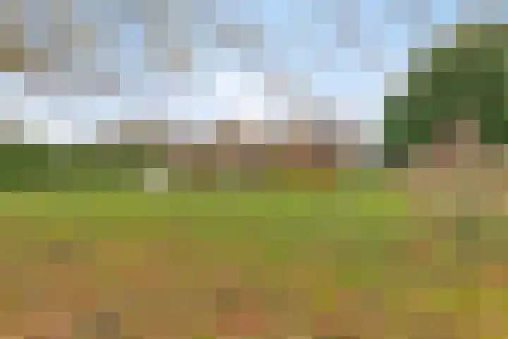 Dordsedijk 102 Klazienaveen thumbnail 34