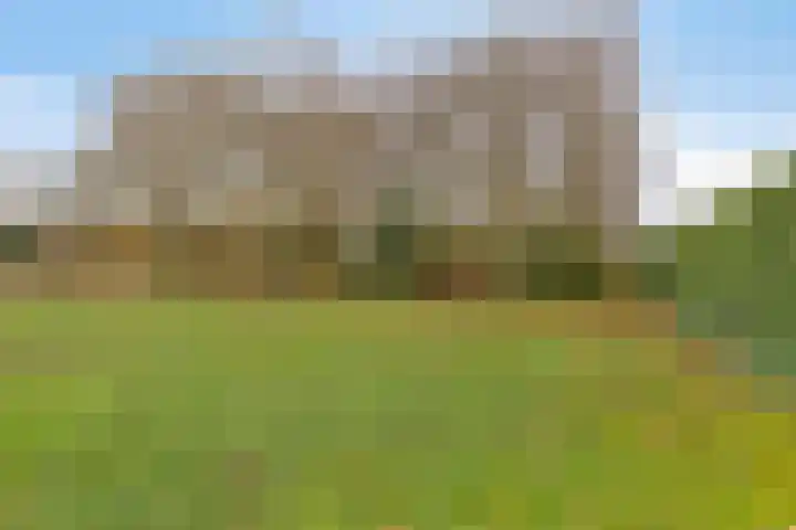 Dordsedijk 102 Klazienaveen thumbnail 35
