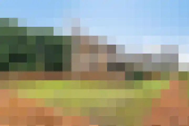 Dordsedijk 102 Klazienaveen thumbnail 38