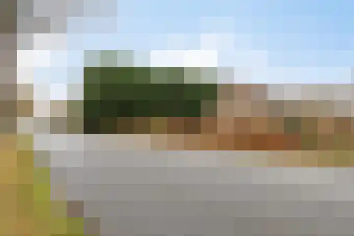 Dordsedijk 102 Klazienaveen thumbnail 39