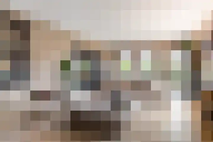 Dordsedijk 102 Klazienaveen thumbnail 4