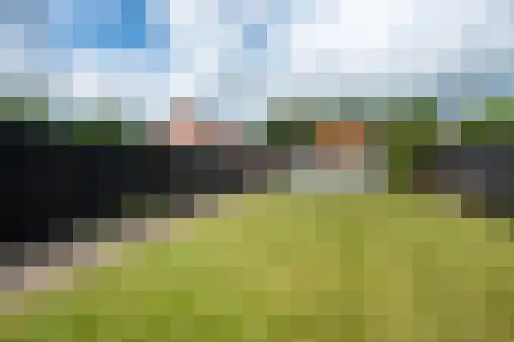 Dordsedijk 107 Klazienaveen thumbnail 48