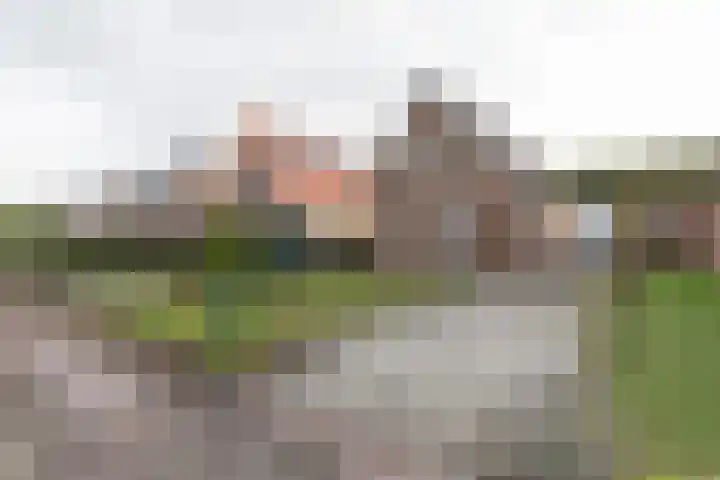 Dordsedijk 116 Klazienaveen thumbnail 10