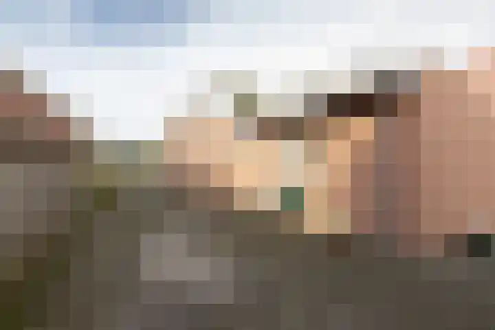 Dordsedijk 116 Klazienaveen thumbnail 12