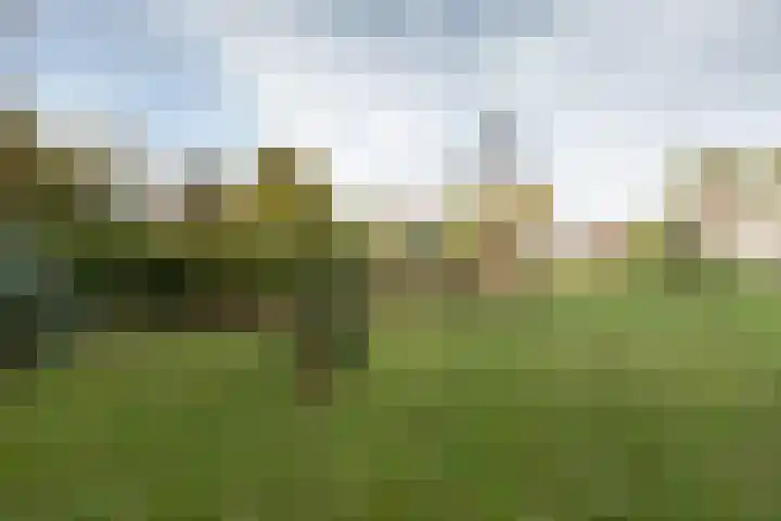 Dordsedijk 116 Klazienaveen thumbnail 41
