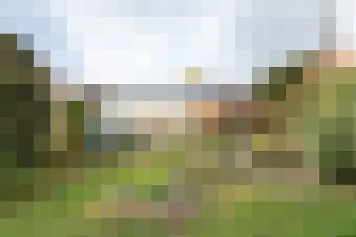 Dordsedijk 116 Klazienaveen thumbnail 42