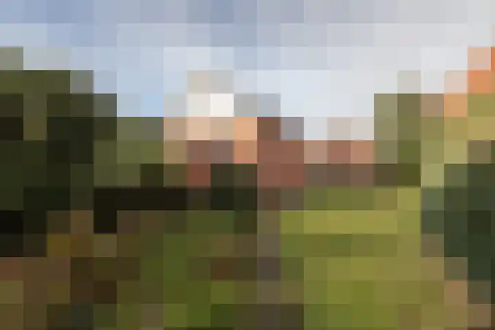 Dordsedijk 116 Klazienaveen thumbnail 44