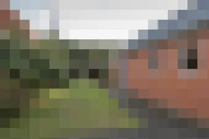 Dordsedijk 116 Klazienaveen thumbnail 7