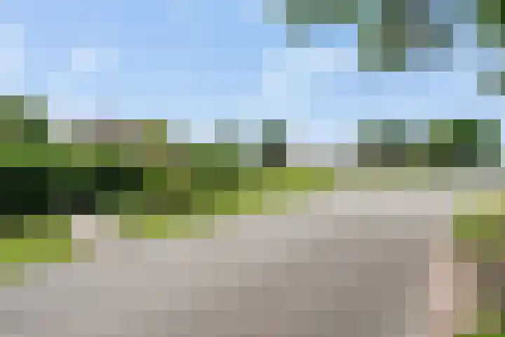 Dordsedijk 119 Klazienaveen thumbnail 42