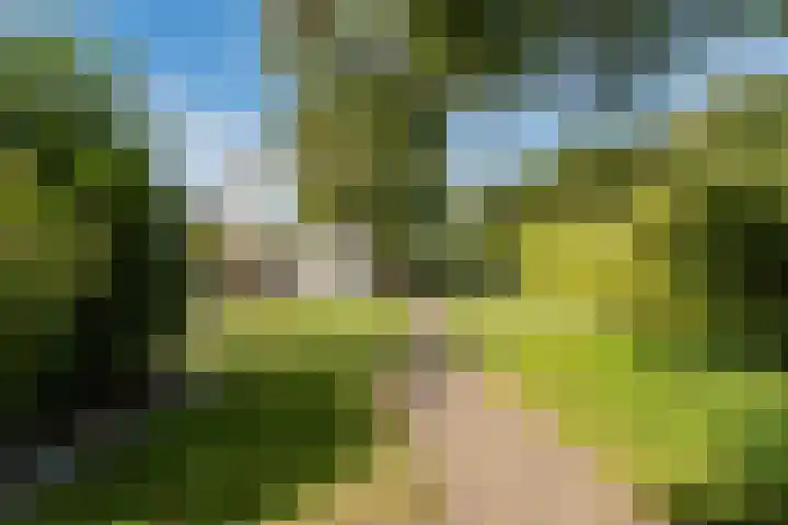 Dordsedijk 398 Klazienaveen thumbnail 44