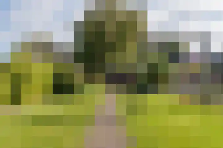 Dordsedijk 398 Klazienaveen thumbnail 47