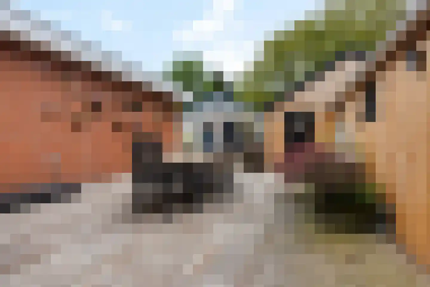 Dordsedijk 54 Klazienaveen thumbnail 27