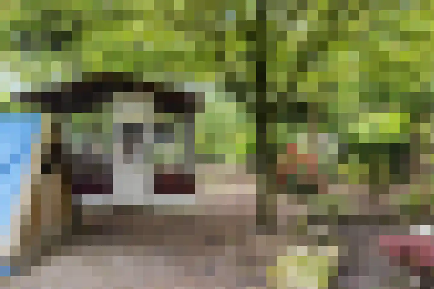 Dordsedijk 54 Klazienaveen thumbnail 31