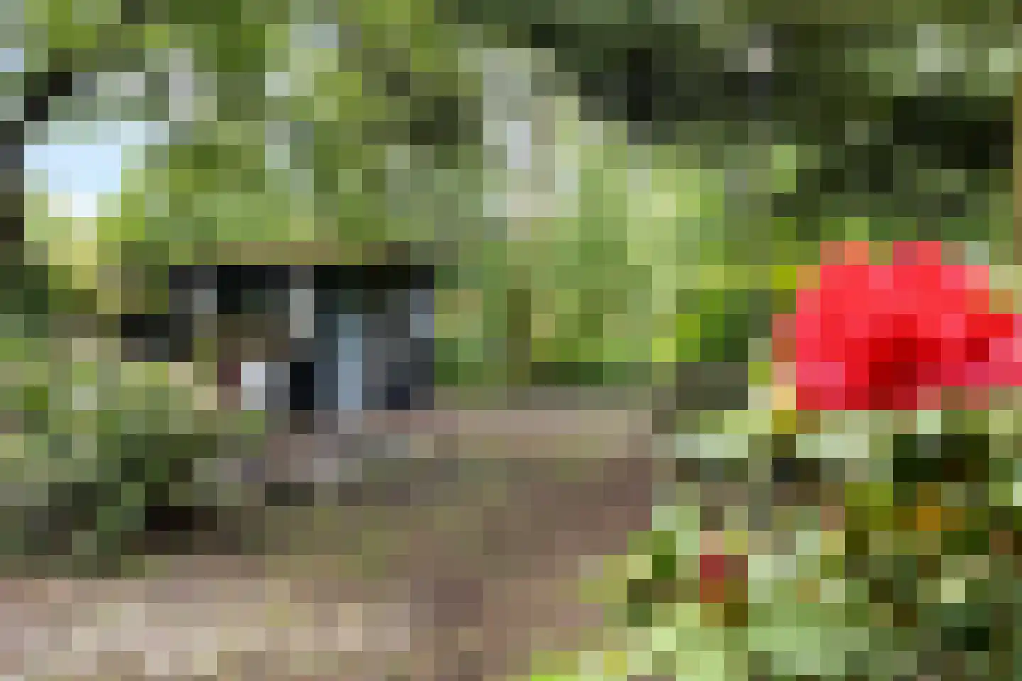 Dordsedijk 54 Klazienaveen thumbnail 32