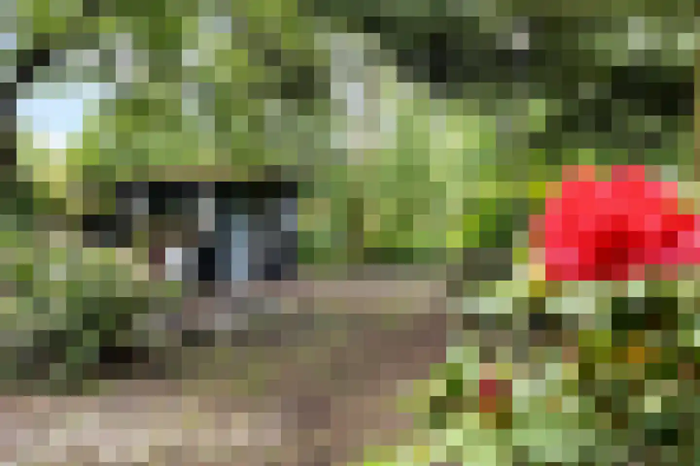Dordsedijk 54 Klazienaveen thumbnail 32