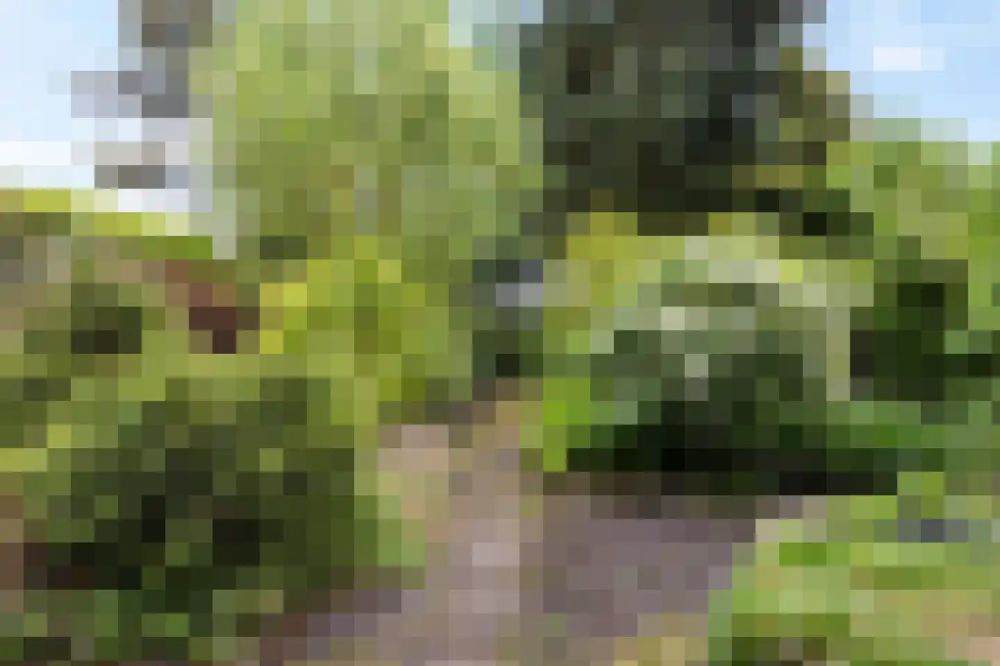 Dordsedijk 54 Klazienaveen thumbnail 33