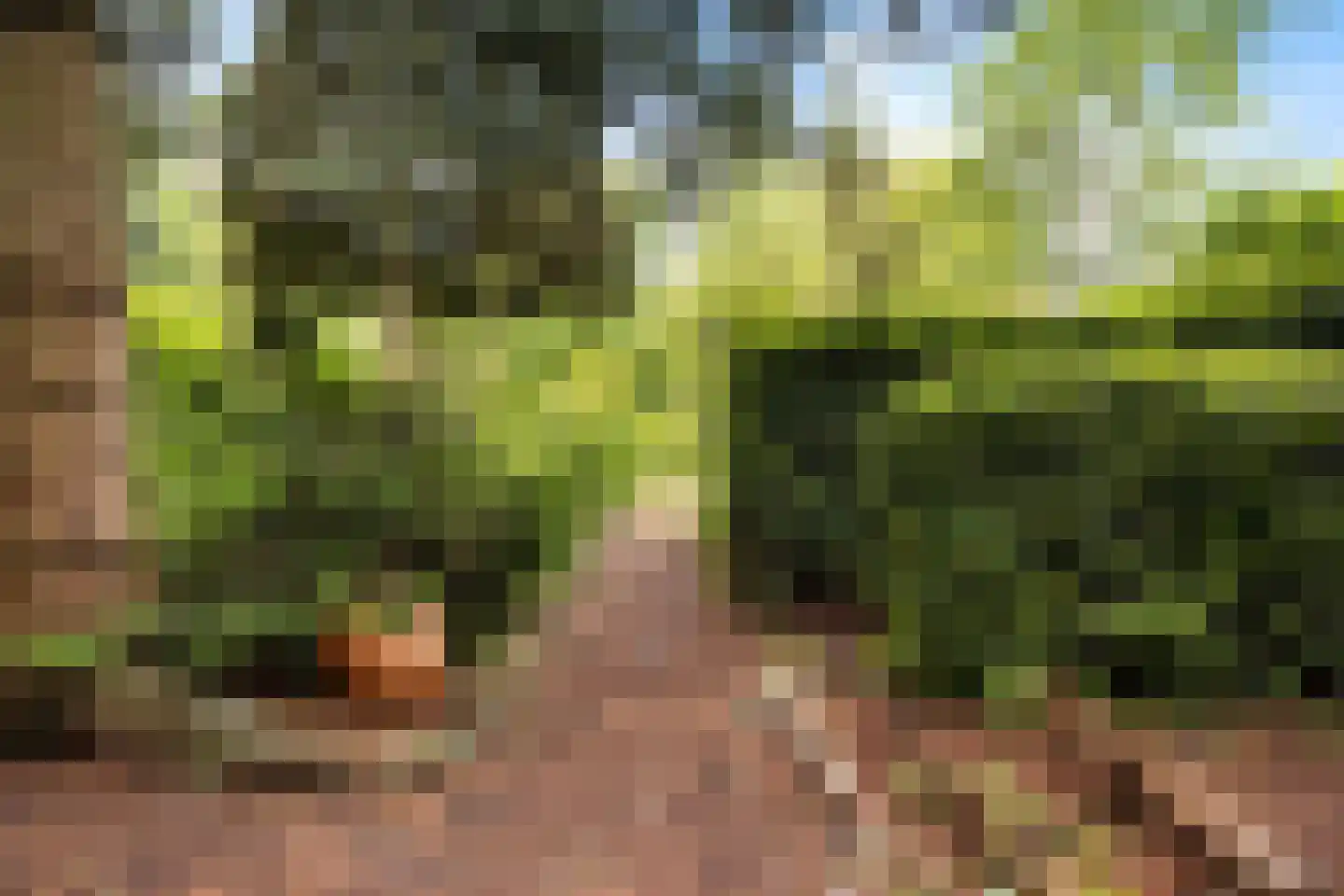 Dordsedijk 54 Klazienaveen thumbnail 34