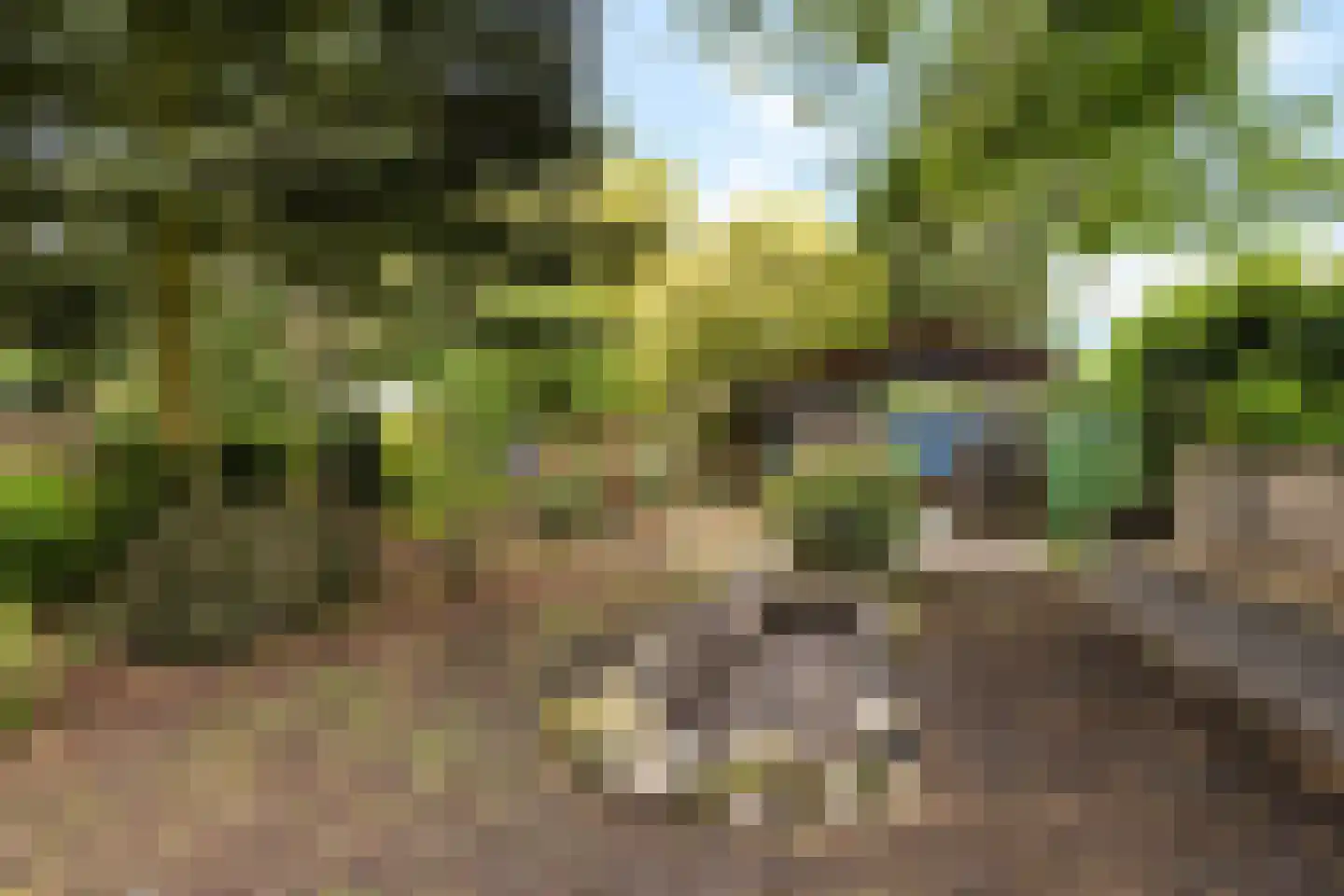 Dordsedijk 54 Klazienaveen thumbnail 35