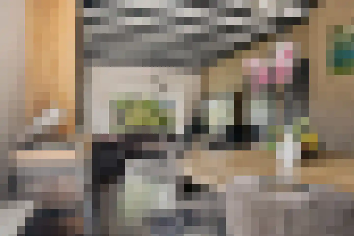 Dordsedijk 54 Klazienaveen thumbnail 8