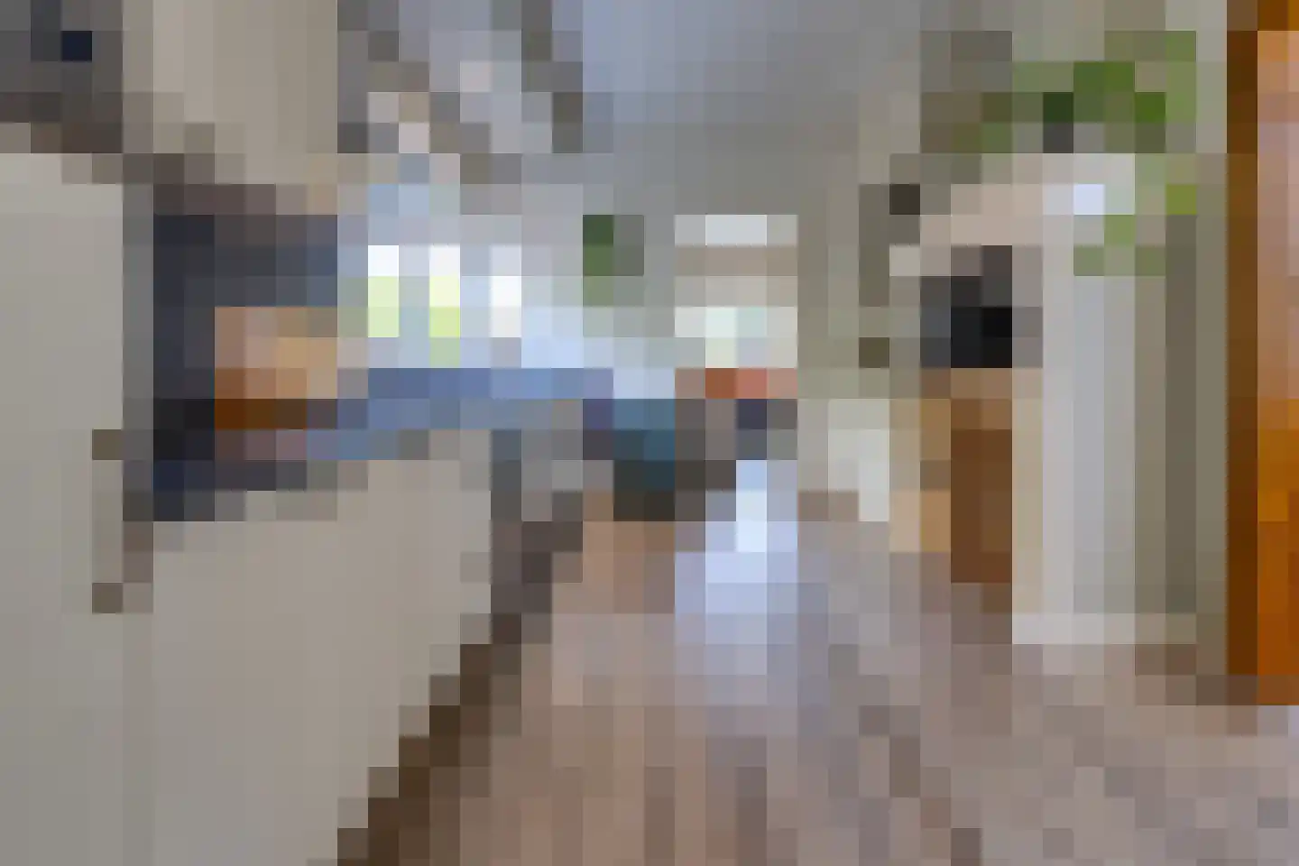Dordsestraat 43 Emmen thumbnail 13