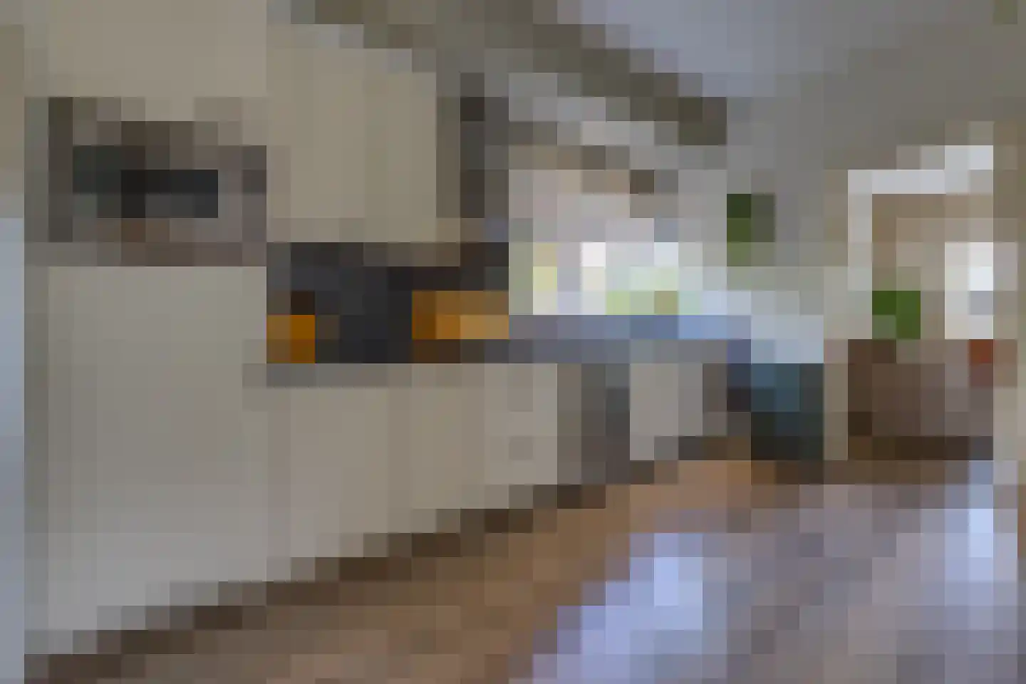 Dordsestraat 43 Emmen thumbnail 14