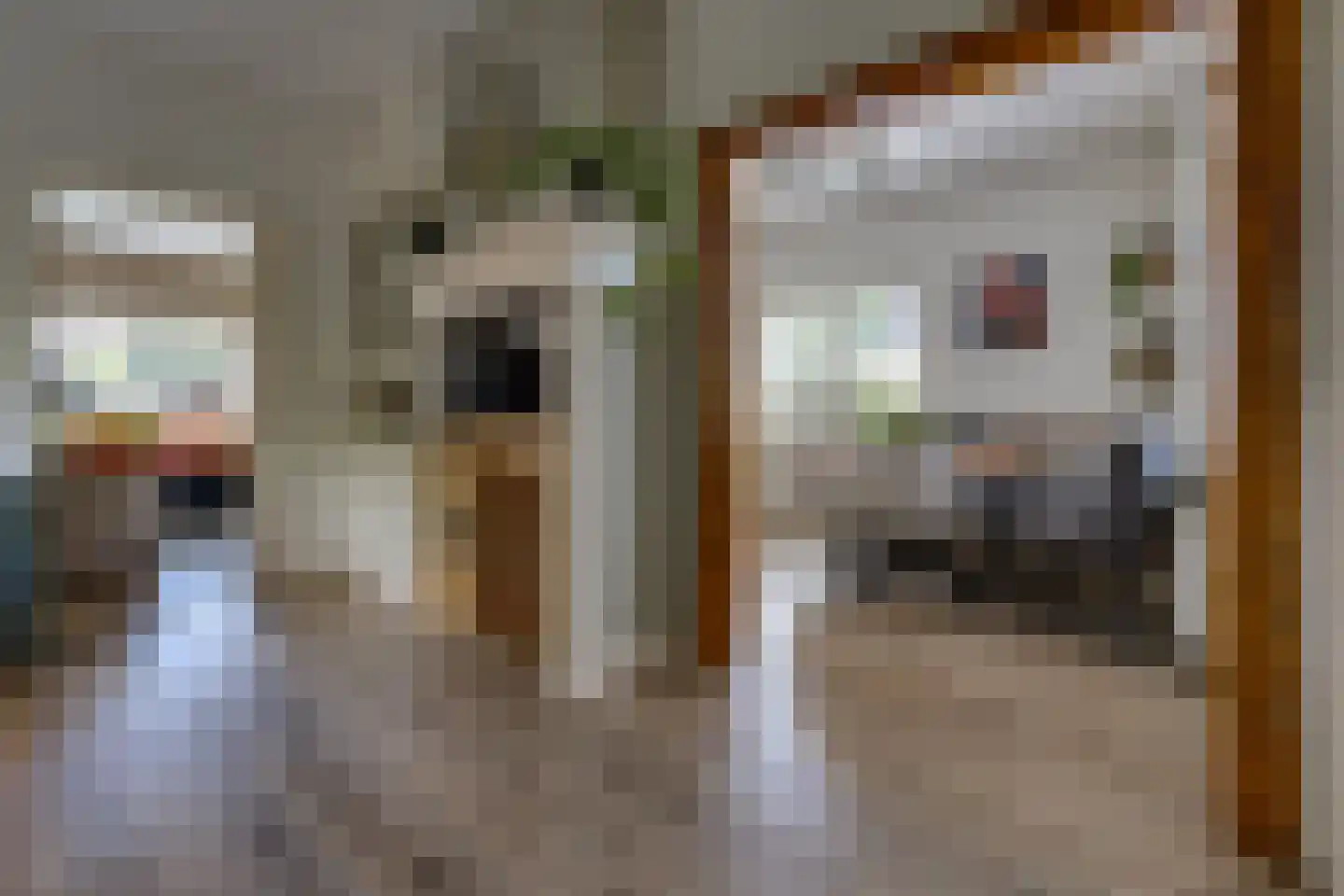 Dordsestraat 43 Emmen thumbnail 15