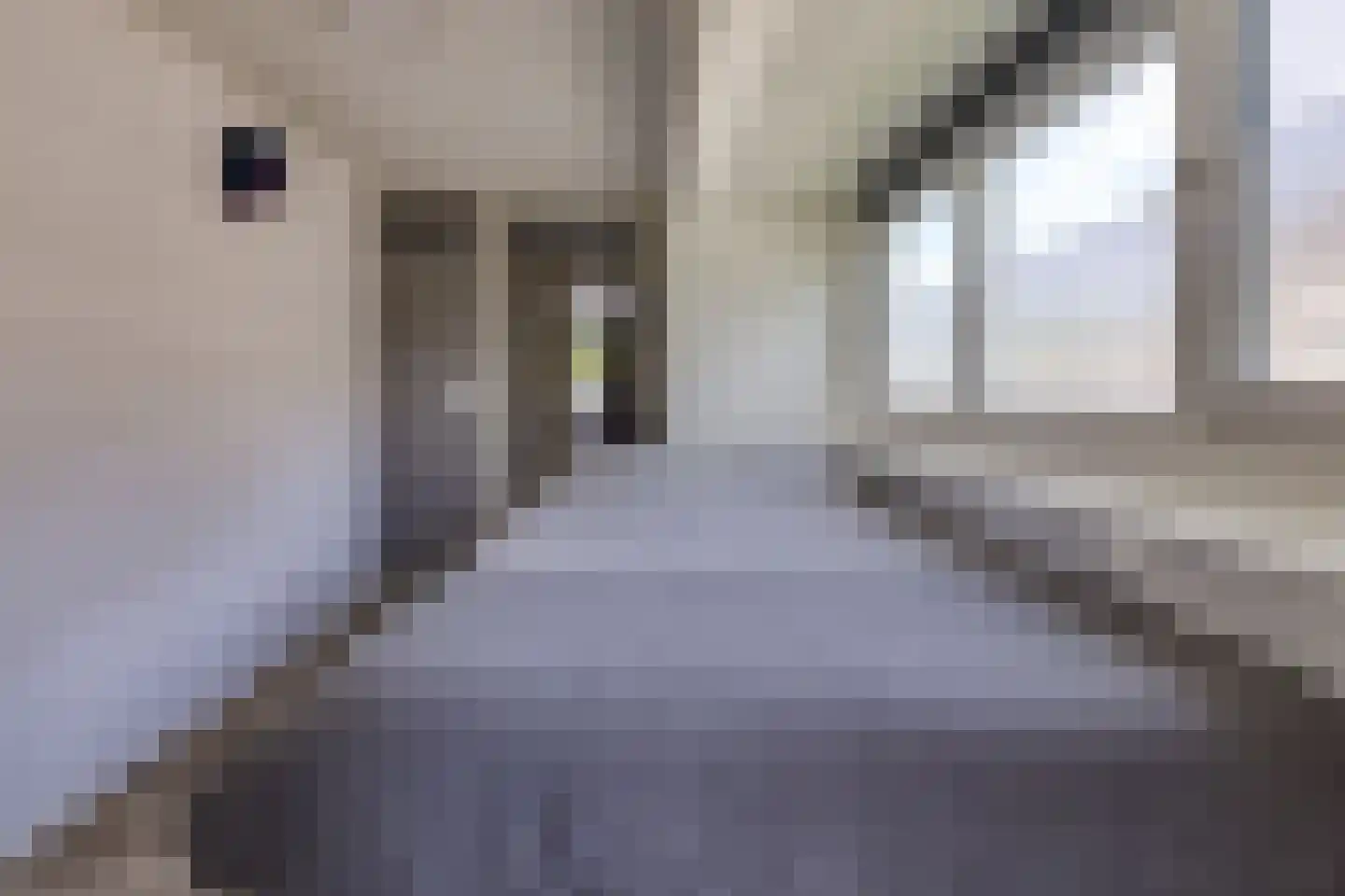 Dordsestraat 43 Emmen thumbnail 30