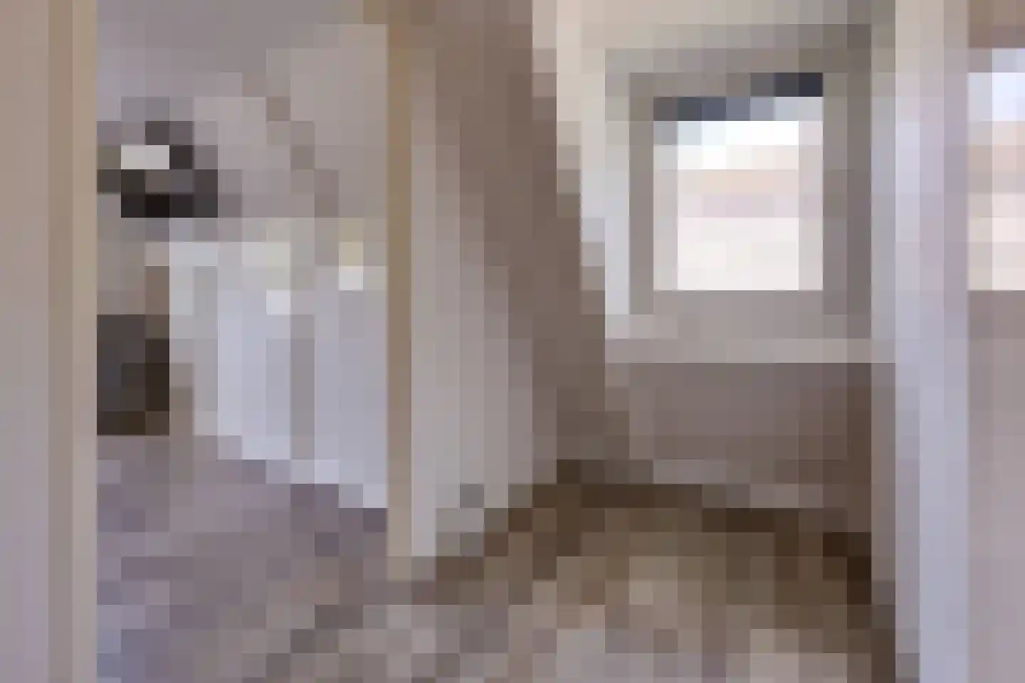 Dordsestraat 43 Emmen thumbnail 32