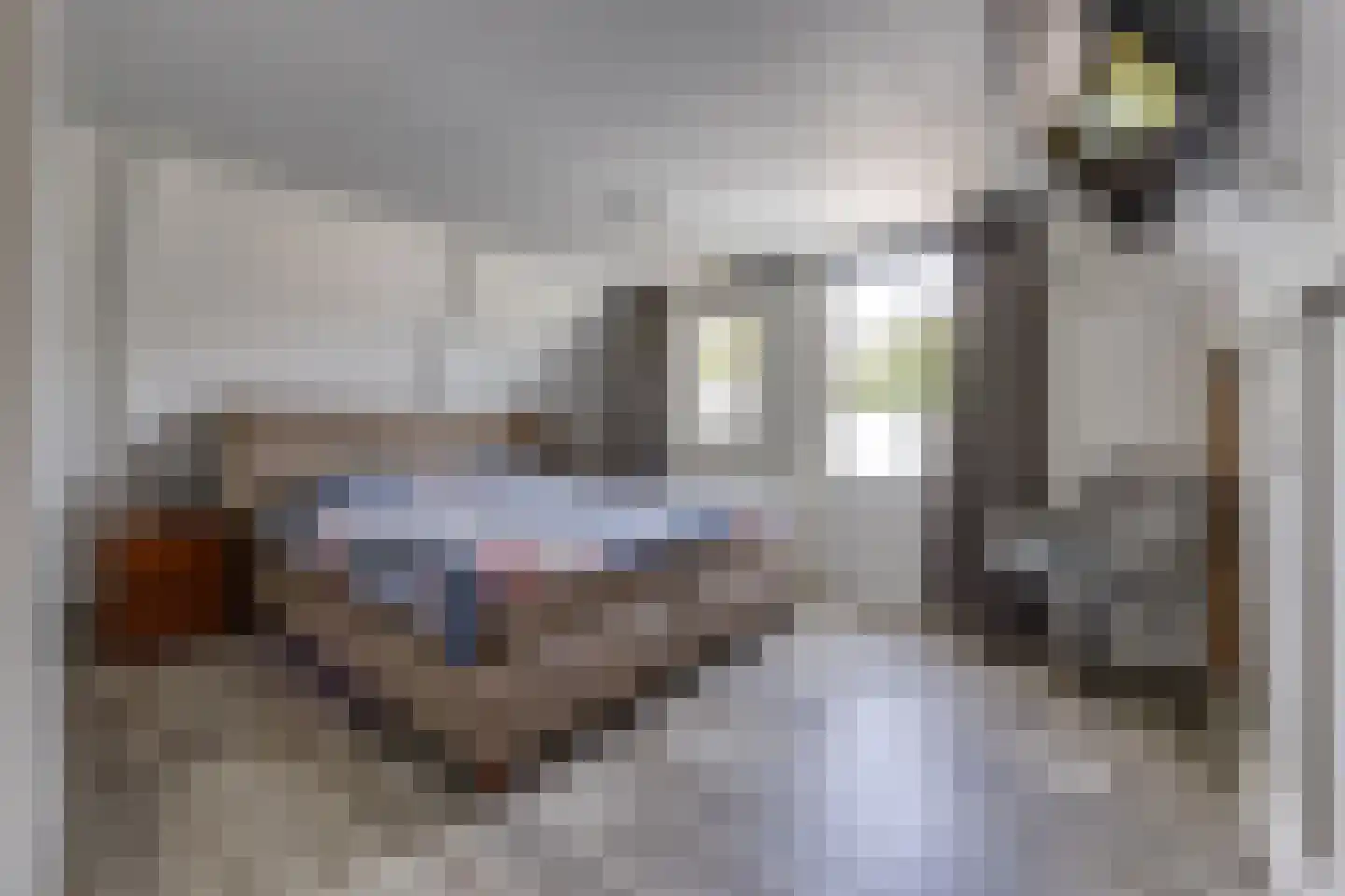 Dordsestraat 43 Emmen thumbnail 33