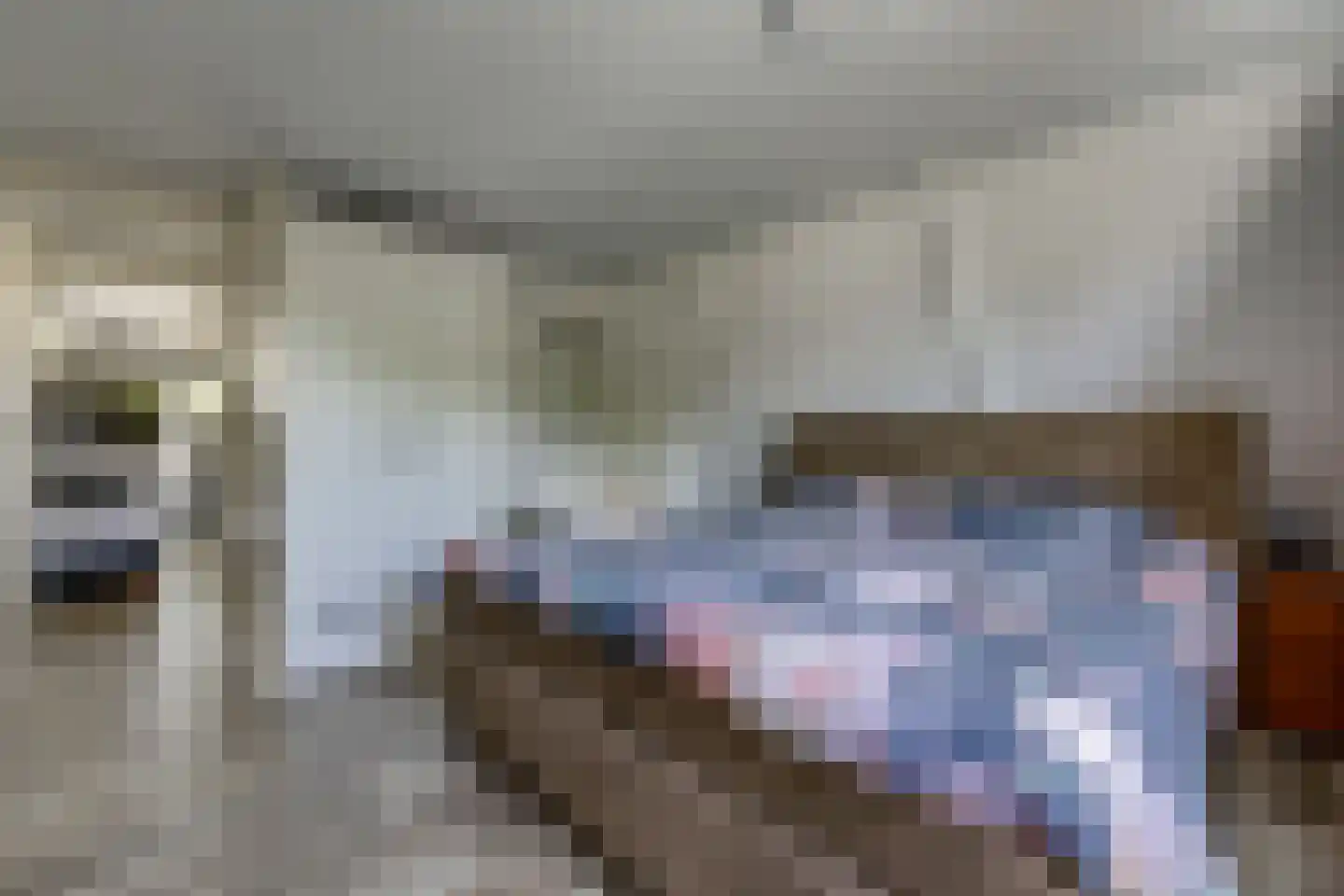 Dordsestraat 43 Emmen thumbnail 34