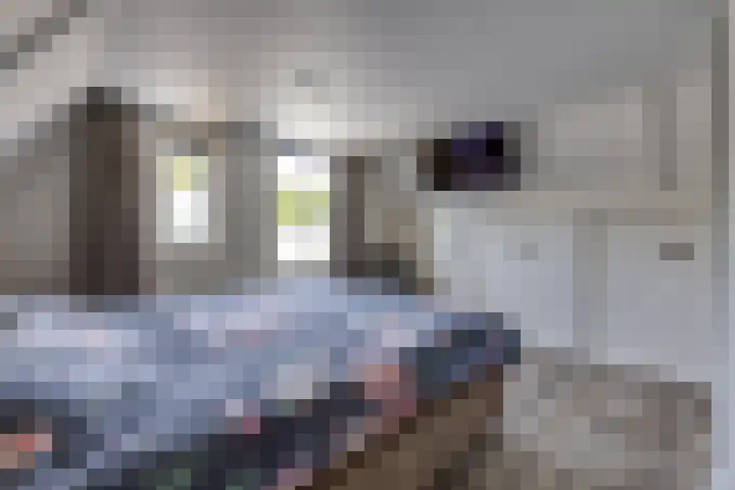 Dordsestraat 43 Emmen thumbnail 35