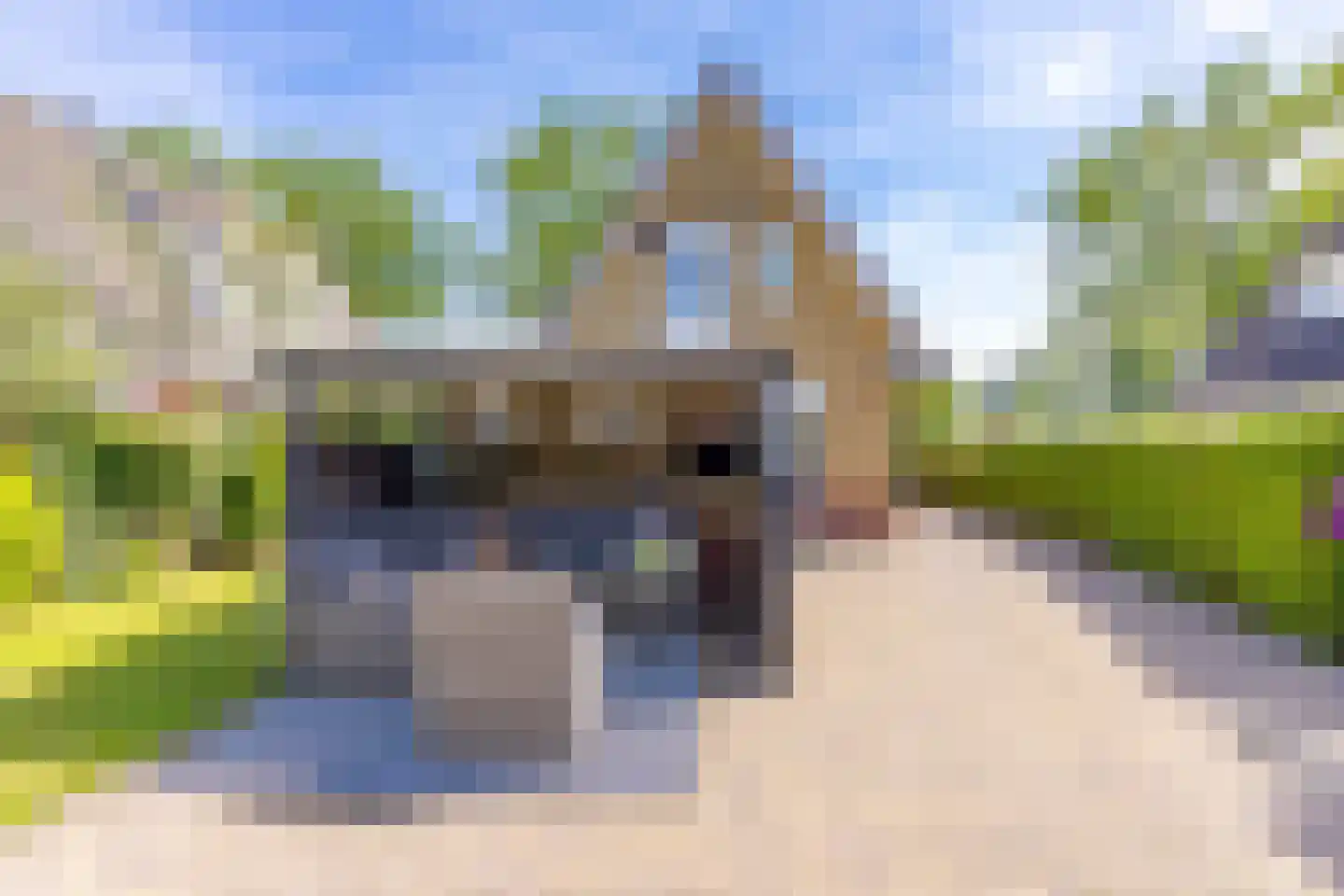 Dordsestraat 43 Emmen thumbnail 38