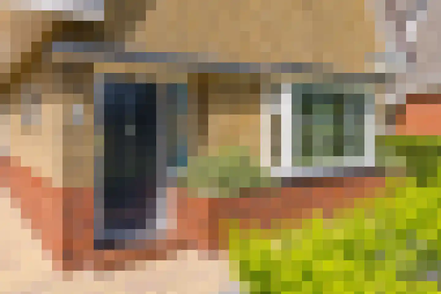 Dordsestraat 43 Emmen thumbnail 6