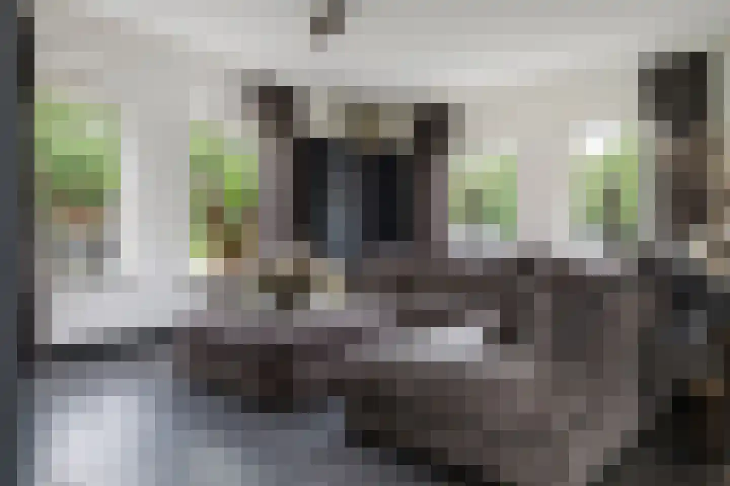 Dordseweg 16 Nieuw-Schoonebeek thumbnail 10