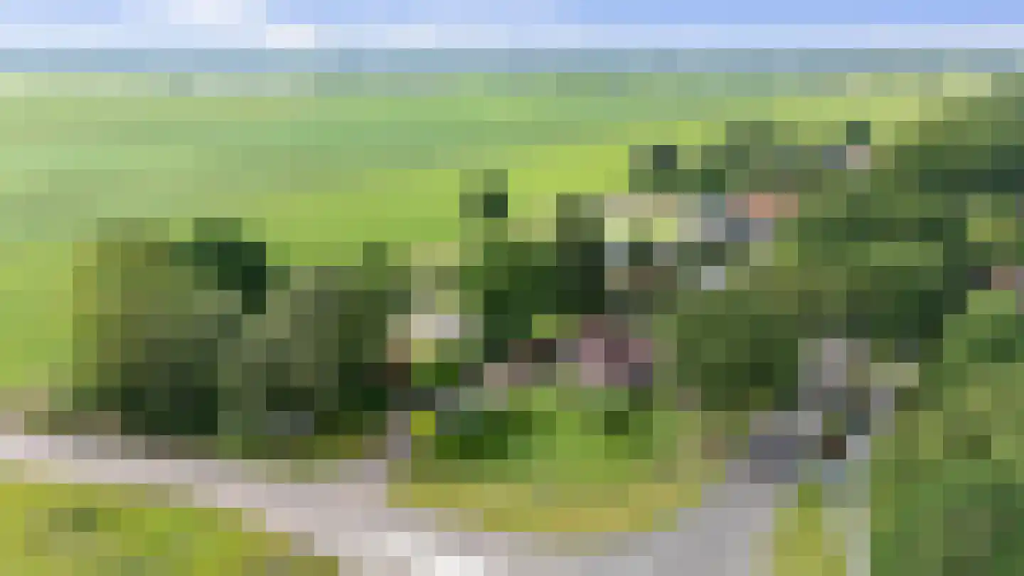 Dordseweg 16 Nieuw-Schoonebeek thumbnail 101