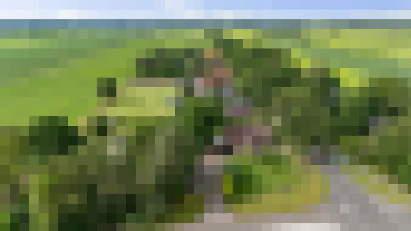 Dordseweg 16 Nieuw-Schoonebeek thumbnail 102