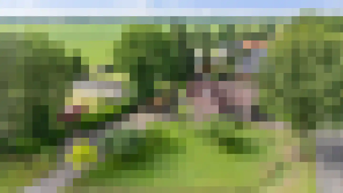 Dordseweg 16 Nieuw-Schoonebeek thumbnail 103