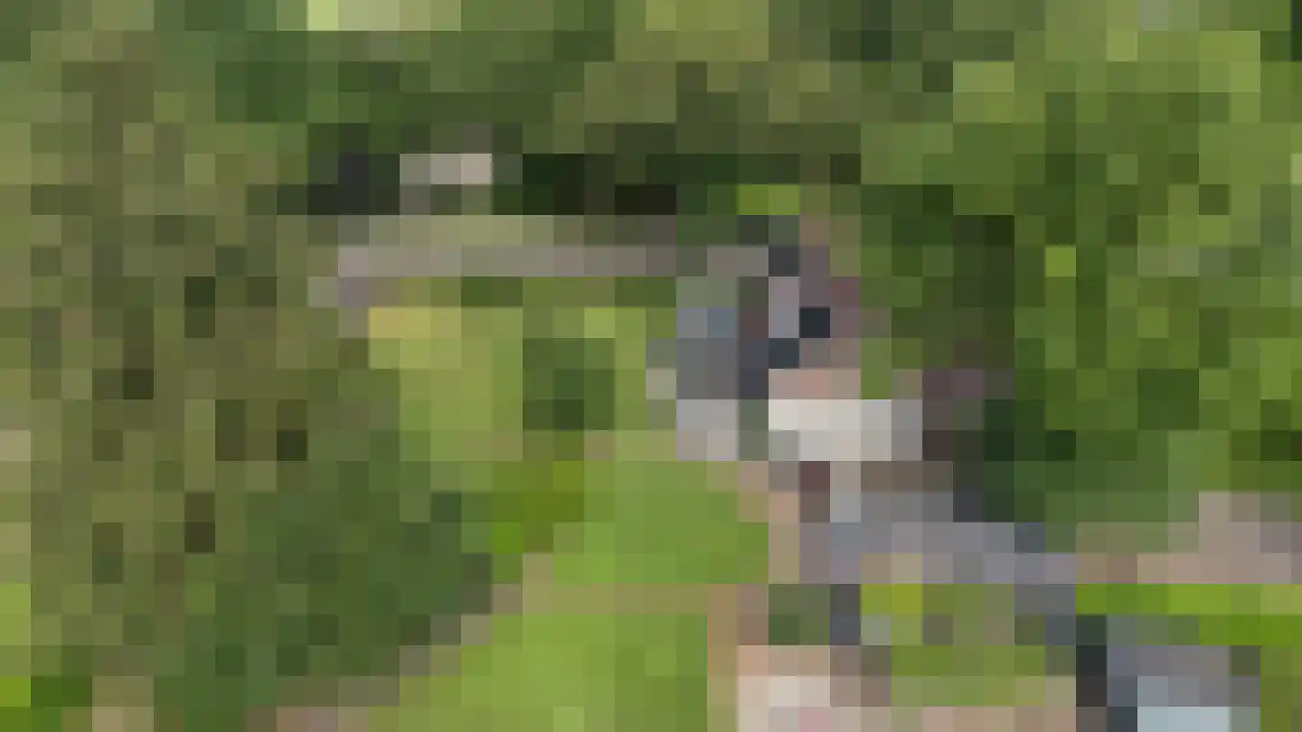 Dordseweg 16 Nieuw-Schoonebeek thumbnail 104