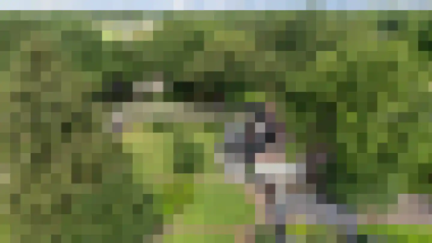 Dordseweg 16 Nieuw-Schoonebeek thumbnail 105