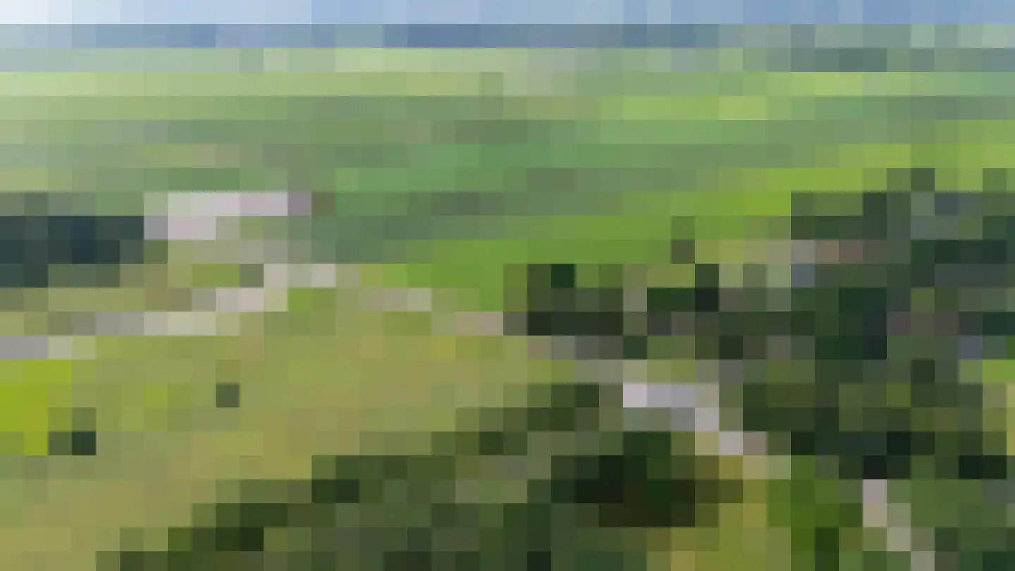 Dordseweg 16 Nieuw-Schoonebeek thumbnail 106